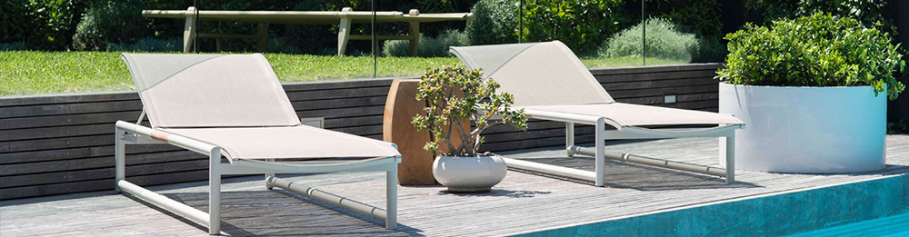 花园植物概念设计